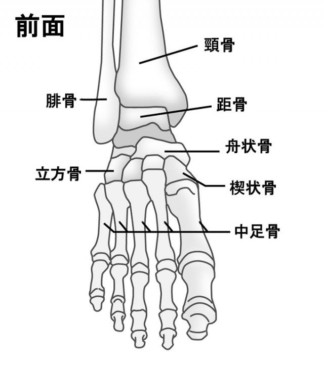 「捻挫の痛み」の根本原因は?
